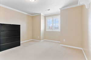 Carpeted spare room featuring ornamental molding