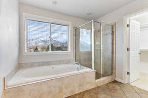 Bathroom featuring tile patterned floors, a wealth of natural light, and separate shower and tub