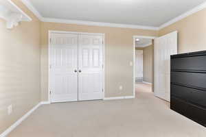 Unfurnished bedroom with ornamental molding, light carpet, and a closet