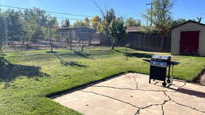 View of yard with a patio area and a shed