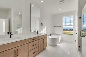 Primary bathroom, separate tub and shower