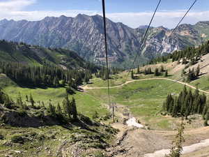 Snowbird in summer