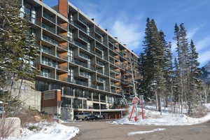 View of snow covered building