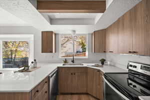 Kitchen with appliances with stainless steel finishes, a textured ceiling, a tray ceiling, sink, and dark hardwood / wood-style floors