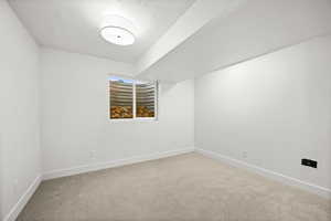 Unfurnished room featuring light carpet