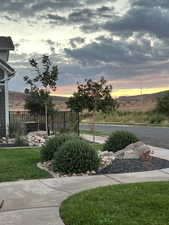 View of yard at dusk