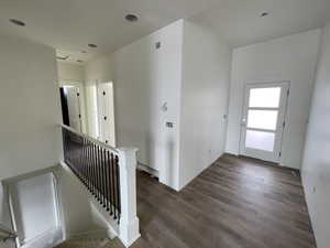 Foyer with dark wood-type flooring