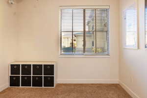 Unfurnished bedroom with carpet and multiple windows