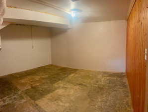 Basement with wooden walls