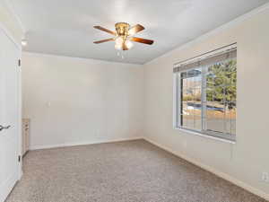 Carpeted empty room with ceiling fan and ornamental molding