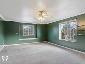 Unfurnished room with ornamental molding, carpet floors, ceiling fan, and a healthy amount of sunlight