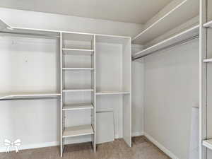 Spacious closet featuring carpet flooring