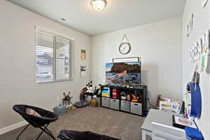 Playroom featuring carpet floors