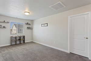 Carpeted empty room with a textured ceiling