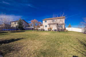 Rear view of property with a yard and a trampoline