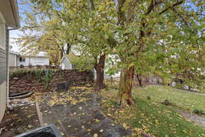 View of yard featuring a patio