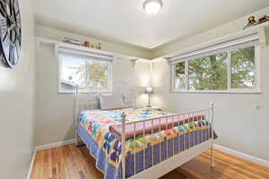 Bedroom with hardwood / wood-style flooring