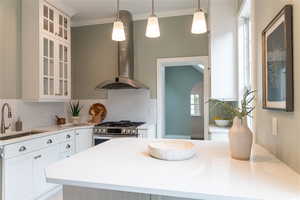 Kitchen with white cabinets,  high end stainless steel range and range hood.