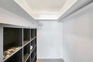 Spacious closet featuring a raised ceiling and carpet floors