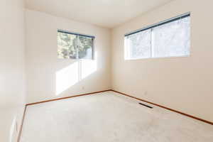 Spare room with carpet flooring and a wealth of natural light