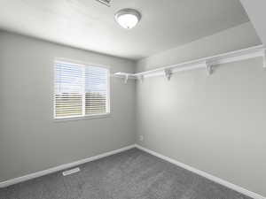 Walk in closet featuring carpet