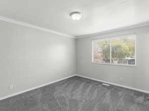 Empty room with dark colored carpet, crown molding, and a textured ceiling