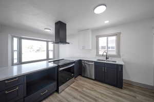 Kitchen featuring white cabinetry, sink, ventilation hood, light hardwood / wood-style floors, and appliances with stainless steel finishes