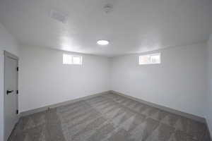 Basement featuring carpet flooring, a wealth of natural light, and a textured ceiling