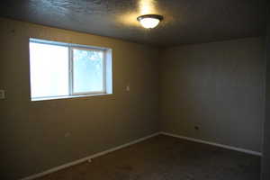 Unfurnished room with carpet floors and a textured ceiling