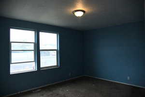 Carpeted empty room featuring a wealth of natural light