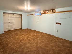 Basement featuring carpet