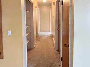 Corridor featuring carpet floors and a textured ceiling