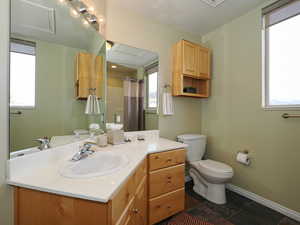 Bathroom featuring a shower with curtain, plenty of natural light, toilet, and vanity