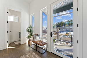 Doorway featuring dark wood-type flooring