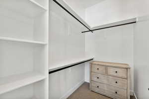 Spacious closet featuring light colored carpet