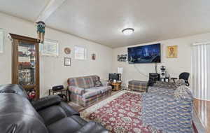 Living room with hardwood / wood-style floors and a textured ceiling