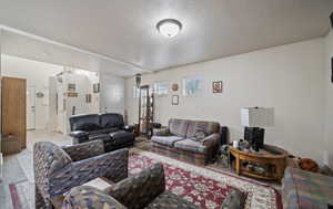 Living room featuring a textured ceiling and light carpet