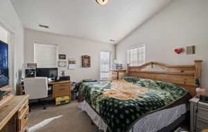 Carpeted bedroom with lofted ceiling