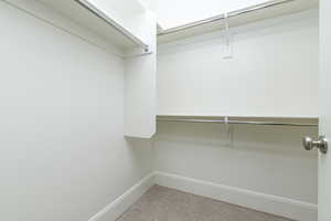 Spacious closet featuring carpet