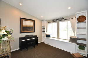 Misc room with dark carpet and lofted ceiling