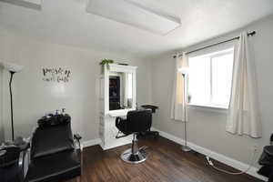 Office featuring dark hardwood / wood-style flooring