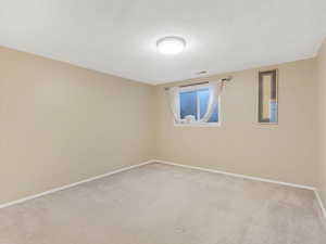 Empty room featuring carpet and a textured ceiling