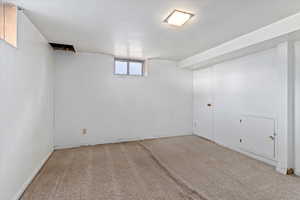 Basement featuring light carpet