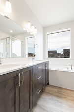 Bathroom featuring hardwood / wood-style floors, vanity, and independent shower and bath