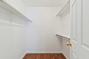 Spacious closet with dark hardwood / wood-style flooring