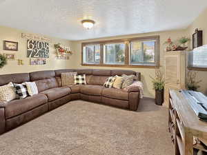 Carpeted living room with a textured ceiling