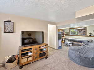 Carpeted living room with a textured ceiling