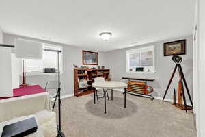 Office space with light colored carpet and a textured ceiling