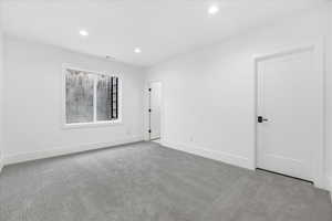 Unfurnished room with light carpet