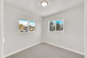 Empty room featuring plenty of natural light, carpet floors, and a textured ceiling